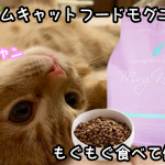 もぐもぐ食べて健康に！元気に！香りと味を追求したプレミアムキャットフードモグニャン！