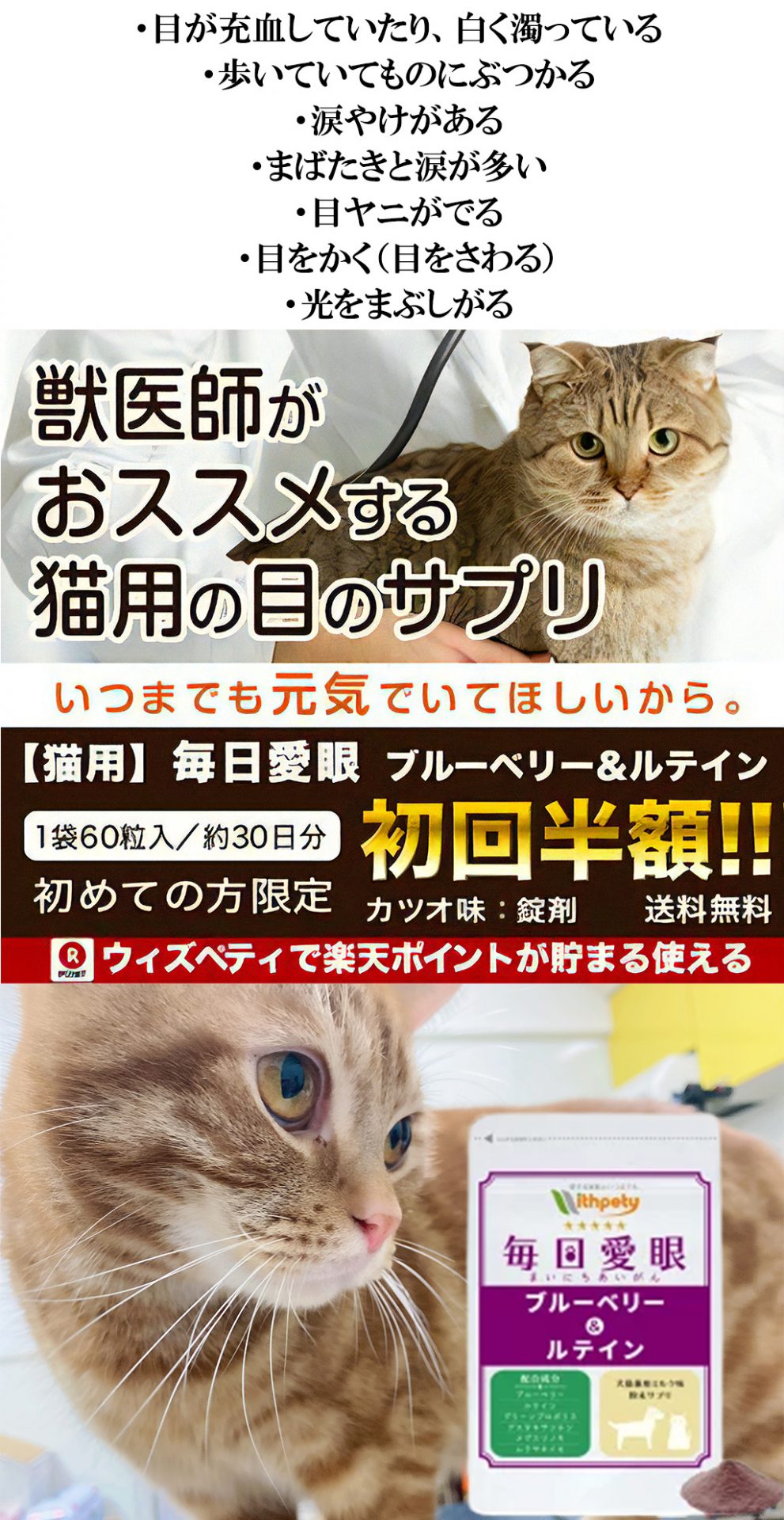 ・目が充血していたり、白く濁っている
・歩いていてものにぶつかる
・涙やけがある
・まばたきと涙が多い
・目ヤニがでる
・目をかく（目をさわる）
・光をまぶしがる