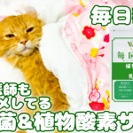 猫のための健康サプリ！腸の健康維持に！５種類の植物酵素と乳酸菌！腸活サプリカツオ味